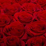 Large Round Eternity Rose Box | Classic Red - Image 3