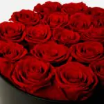 Large Round Eternity Rose Box | Classic Red - Image 2