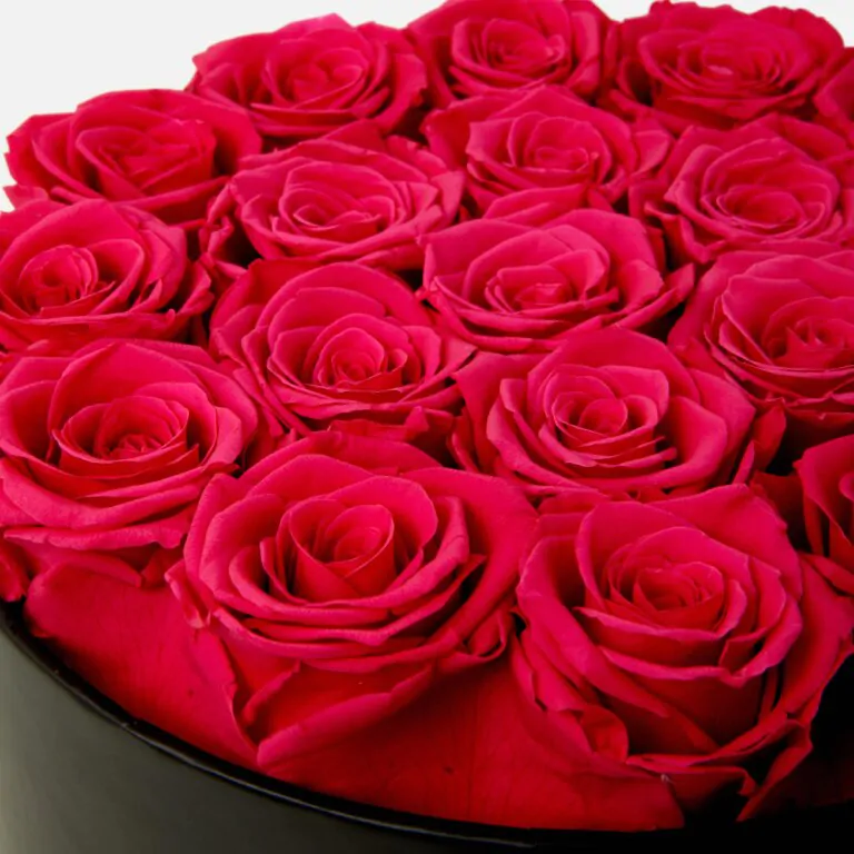 Large Round Eternity Rose Box | Hot Pink - Image 2