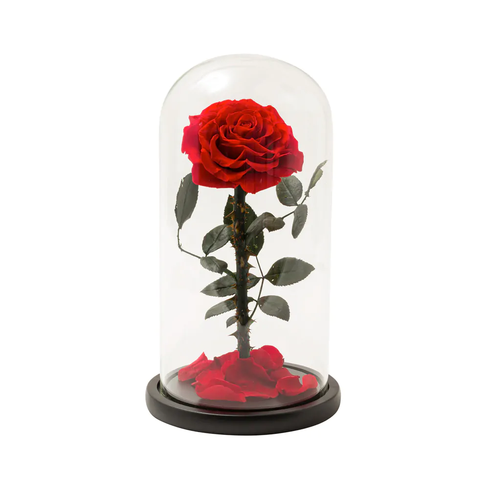 Eternal Rose in a Glass Dome | Red Rose