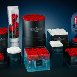Shop All