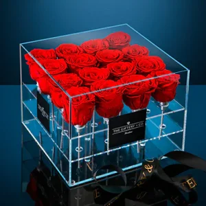 Signature Deluxe Collection